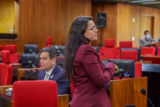 Deputada estadual Teresa Britto (PV) em Plenário